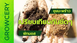 เปรียบเทียบกันชัดๆ!! ขุยมะพร้าวกับพีทมอส  | GROWCERY