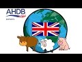 Exporting British red meat to the world