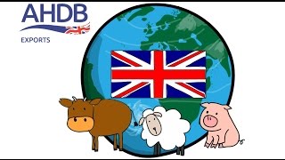 Exporting British red meat to the world