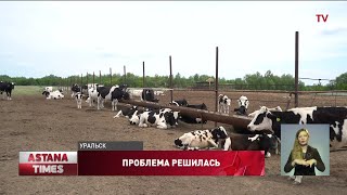 Проблему уральцев с пастбищами помогли решить нуротановцы