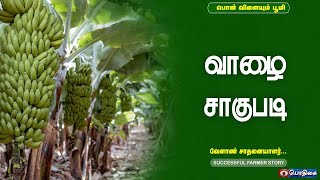 வாழை சாகுபடி | Banana Cultivation |  Successful Farmer