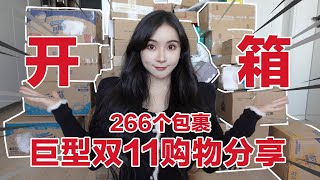 10天狂买266个快递？超爽双11开箱体验｜一只火豚