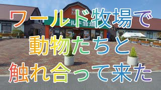 ワールド牧場で動物たちと触れ合って来た