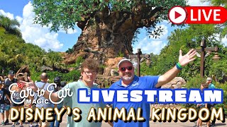 🔴 LIVE - Wild Wednesday Livestream - Disney Animal Kingdom 09.27.23