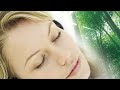 Brain Sync 9 Minute Guided Meditation