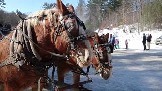 SnowBall 2017 Dorset Winter Carnival