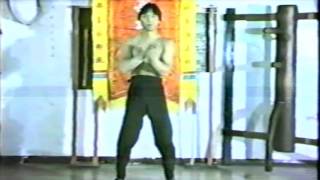 Bil Chee - Wing Chun's Third Form