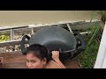 filipina wife 1 barbecues on two grills at the same time