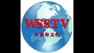 WSSTV 支持联合国亚裔小姐选美大赛女神组半决赛