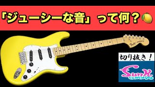 【激論】「ジューシーな音」って何よ！？【ギター屋funk ojisan切り抜き動画】