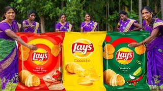 LAYS POTATO CHIPS MAKING | Tomoto Flavour Lays Making