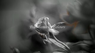 Persistence Of Colours - GH3 Single Color [4K/UHD]