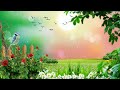 Nature Background Video Effect hd | Lyric Video Background | Free Video Background Stock Footage