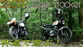 【林道】250TR and  Glass  Tracker 林道で遊ぶ！其ヶ谷線で大⚪︎倒【バイク】