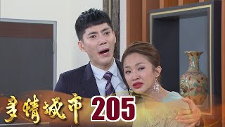 多情城市 EP205 少爺離家 慧君心碎｜Golden City