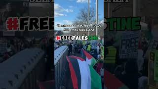 DUKUNGAN MASYARAKAT DUNIA UNTUK PALESTINA MERDEKA #dakwah #palestina  #freepalestine #shorts