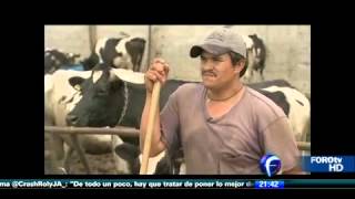 Producción de leche en México (1)