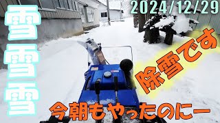 今日も除雪です。年末の準備ができたのに、雪に追われます。