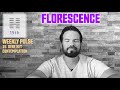 15th Gene Key 🌺 Florescence - Magnetism - Dullness (Gene Key 15 Contemplation)