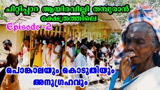 ചിറ്റിപ്പാറ ആയിരവില്ലി തമ്പുരാൻ ക്ഷേത്രത്തിൽ പൊങ്കാല | EP 2 | Chittippara Ayiravalli Thapuran Temple