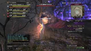 DDON フィンダム追壊戦記 セージ視点 6分21秒