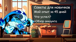 Что успел и узнал за 45 дней? +Обзор аккаунта | Советы, Гайд для новичков CRK | Cookie Run: Kingdom