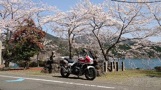 CB1300SBで行く！海津大崎、奥琵琶湖パークウェイ 桜ツーリング