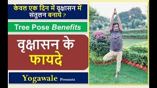 Beginner Yoga for Balance & Stability - Tree Pose By Yogawale