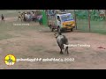 mullangkurichi full jallikattu முள்ளங்குறிச்சி ஜல்லிக்கட்டு 2022... tamizhan trending