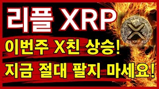 🔥리플 전문가🔥이번주 상승 크다!! \