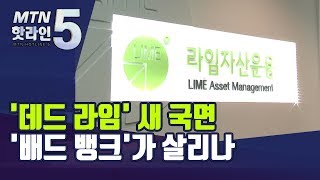 '데드 라임', '배드뱅크'가 살리나...돈 묶인 투자자 희망은? / 머니투데이방송 (뉴스)