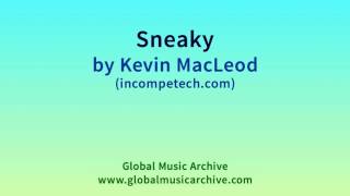 Sneaky by Kevin MacLeod 1 HOUR