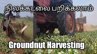 Peanut Harvesting Machine | Groundnut Harvesting | Easy to work Farmer Tamilnadu