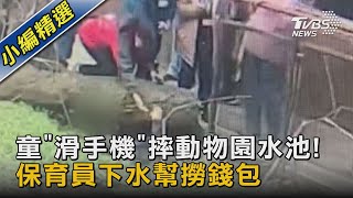 童「滑手機」摔動物園水池! 保育員下水幫撈錢包｜TVBS新聞@TVBSNEWS02