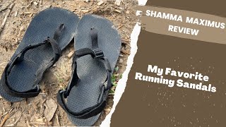 Shamma Warrior Maximus | Review