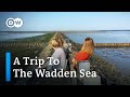 A Virtual Tour of Germany | The Wadden Sea: Mudflats, Halligen and Sandy Beaches