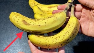 My 86-pound best friend taught me how to eat bananas. After only three days of eating, my