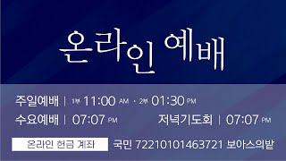 [성문침례교회] 주일 오전 예배 생방송 / 히브리서 11장 1,2절 / 이것이 복음이다(15) 믿음이 이기네  (22.12.04)