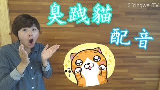 臭跩貓（白爛貓）配音 【6 Yingwei TV】