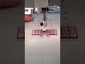 Using the Multi-Line Decorative Foot to stitch out an Omnimotion stitch in sewing mode