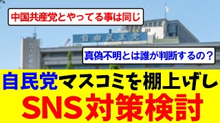 【自民党】誹謗中傷や真偽不明な情報を規制するのはSNSだけ？オールドメディアは？【SNS規制】【中国】