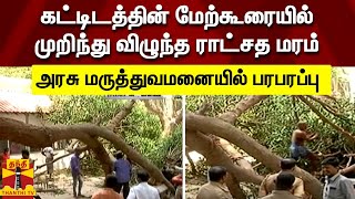 கட்டிடத்தின் மேற்கூரையில் முறிந்து விழுந்த ராட்சத மரம்: ராயப்பேட்டை அரசு மருத்துவமனையில் பரபரப்பு