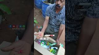 ഇനി ചെറിയ വിലയ്ക്ക് വിത്തുകൾ സ്വന്തമാക്കാം #vegseeds | N.P Liya Garden Malappuram, Pazamallur