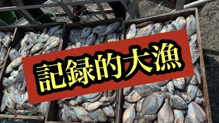 記録的大漁【和歌山県】50年ぶり？過去にないくらいあの魚が大漁