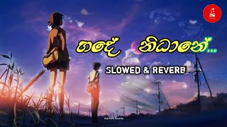 Hade Nidhane ( හදේ නිධානේ ) -Thanura Madugeeth | Tv Derana | Slowed \u0026 Reverb - Saji Beats