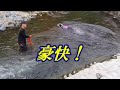 川遊び大好き　爆走するボーダーコリー