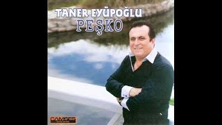 Taner Eyüpoğlu - Horon