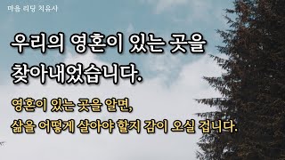 우리의 영혼은 몸 안에 존재합니다. 치유사로 활동하면서 몇년 동안 영혼을 찾았던 과정을 얘기해 드릴게요.