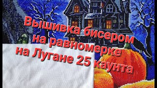 588. Вышивка бисером на равномерке на Лугане 25 каунта для начинающих