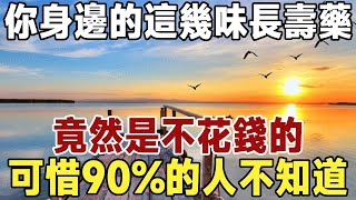 你身邊的這幾味長壽藥，竟然是不花錢的！可惜90%的人不知道，早看早受益！|健康|長壽|養老|佛禪